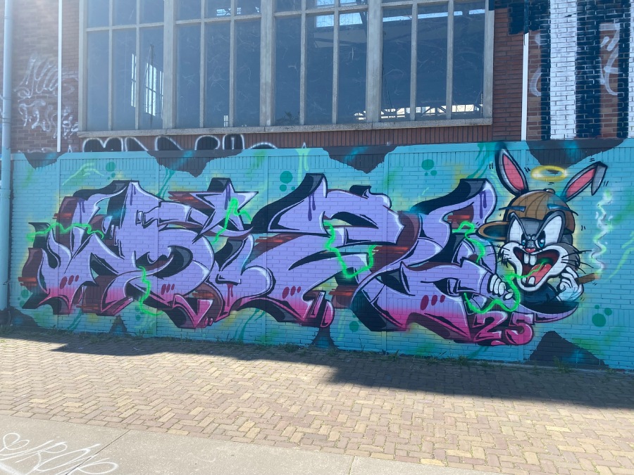 BIZ, ndsm, graffiti, amsterdam